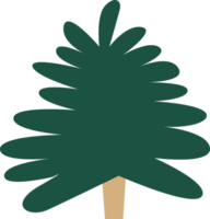 Christmas tree illustration isolated png