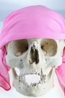 a skull with a pink bandana on it photo