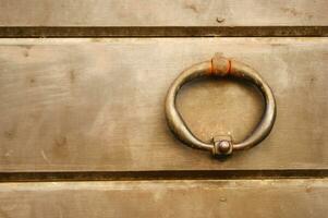 a lion head on a door handle photo