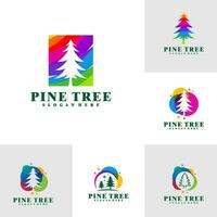 Set of Colorful Pine Tree logo design vector. Creative Pine Tree logo concepts template vector