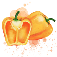 Chili paprika's pittig rood groen geel png