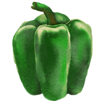 Chili peppers spicy red green yellow png