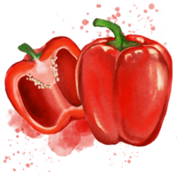 Chili peppers spicy red green yellow png