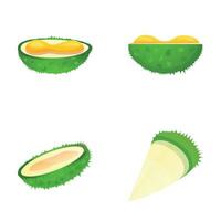 Durian íconos conjunto dibujos animados vector. exótico Fruta vector