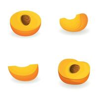 Apricot icons set cartoon vector. Ripe apricot piece vector