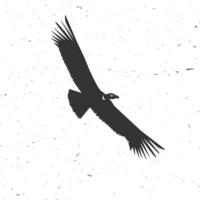 Flying condor silhouette on the white background. vector