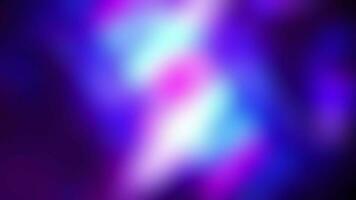 lus roze Purper blauw kunst abstract wazig achtergrond video