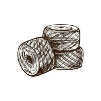 Hand drawn sketch of balls of threads. Handmade, knitting equipment concept in vintage doodle style. Engraving style. vector