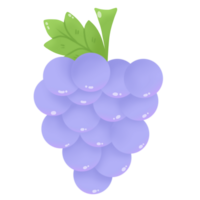 illustration de raisins png