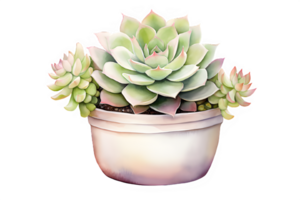 watercolor succulent plant in a pot,AI Generative png