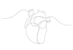 human heart organ one line drawing vector illustration