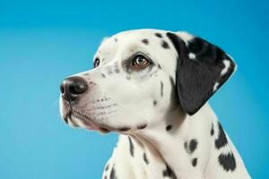 Photo of dalmatian dog. AI Generative Pro Photo