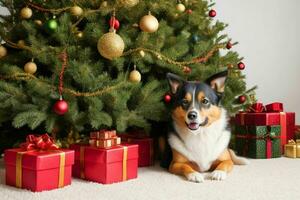 Dog near Christmas tree and gift to celebrate christmas. AI Generative Pro Photo