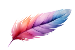 watercolor feather on transparent background,AI Generative png