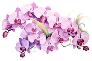 acuarela púrpura orquídeas acortar Arte png,ai generativo png