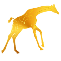 icône animal appel girafe png