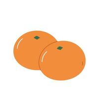 Tangerines, citrus vector illustration on white isolated background.