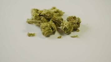 langsam rotierend medizinisch Cannabis Blume auf Weiß Hintergrund video