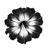 pétunia fleur , ai génératif png