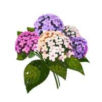 Heliotrope flower, bouque, AI Generative png