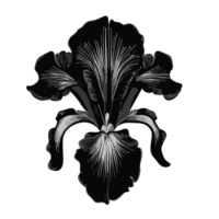 iris bloem, iris bloem clip art , ai generatief png