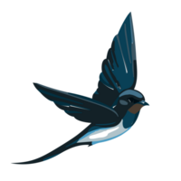 Flying swallows. Bird in flight isolated, AI Generative png