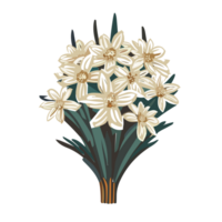 Edelweiss flor, flor ramo de flores de de colores edelweiss, prado geranio, genciana, ai generativo png