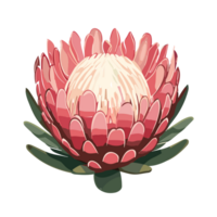 protea flor. tropical flor. ai generativo png