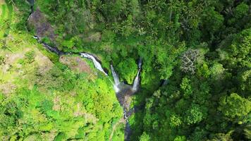 antenne in een baan om de aarde top naar beneden visie van sekumpul waterval in Bali video
