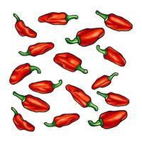 CHILI PATTERN VECTOR