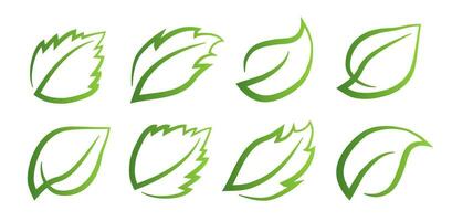 A set of green leaves on a white background, for logos, icons, designs, for the symbolism of the green planet vector