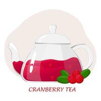 Glass teapot with berry tea.Transparent glass teapot with cranberries tea. Healthy drinks concept.Vector illustration for cafes, advertisements, banners vector