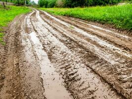 dirt road through the green fields in the country photo