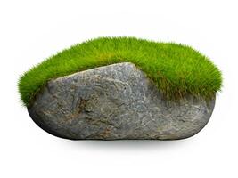 stone grass with moss isolated on white background 3d render photo