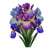 Iris flower,iris flower clipart , AI Generative png