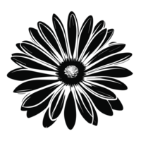 daisy kamomill blomma ,kamomill kronblad. kärlek kort. växande begrepp. Lycklig valentines dag dekoration. platt design. png