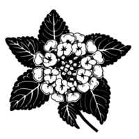 Heliotrope flower , AI Generative png