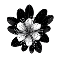 Myrte Blume ,medizinisch Pflanze. ai generativ png