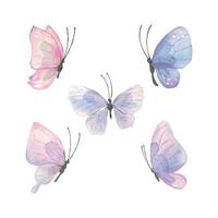 Watercolor illustration of delicate pink-lilac butterflies. A set of different shapes and colors. Airy, light, gentle. For banner design, postcards, clothing, design, posters, wallpaper. vector