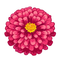 zinnia fleur , ai génératif png