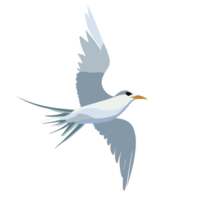 Terns bird, Flying white bird. Common Tern. Sterna hirundo. AI Generative png