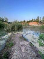 beautiful view of the river in the park photo