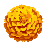 souci fleurs , ai génératif png