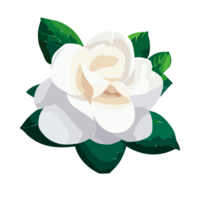 gardênia flor, elegante gardênia flor clipart ,perfeito para Casamento cartões e decorações, ai generativo png