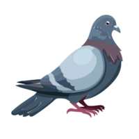 Paloma pájaro. plano dibujos animados personaje diseño. vistoso pájaro icono. ai generativo png
