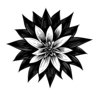 edelweiss fleur, edelweiss clipart. ai génératif png