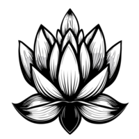 Lotus Blume, ai generativ png