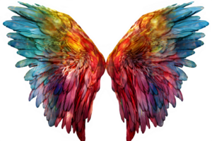 colorful angel wings ornament isolated on transparent background ,generative ai png