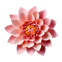 pink lotus flower blooming top view isolated on transparent background ,generative ai png