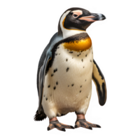 ártico pinguim isolado em transparente fundo ,pinguim em pé cortar Fora png , generativo ai